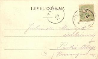 Szolnok, Tisza part, Hungária malom, Alexander J. gyógyszertára, a hírneves Ilona creme arcszépítő é...