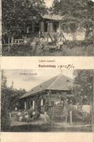 Szatmárhegy, Viile Satu Mare; Lépés és Erdélyi nyaraló / villas (erősen sérült állapot / badly restored, missing corner)