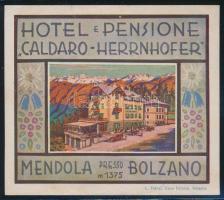 cca 1910-1920 Hotel e Pensione Caldaro-Herrnhoffer Bolzano (Dél-Tirol) dekoratív bőröndcímke