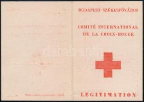cca 1944-1945 A Nemzetközi Vöröskereszt védett intézmény dolgozója számára készült igazolványa, kitöltetlen