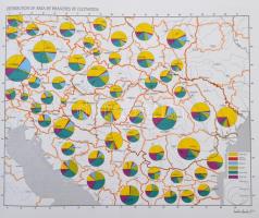 Prof. Dr. Rónai András: Atlas of Central Europe. Bp.,1993, Szent István-Társulat-Püski. Digitalis fa...