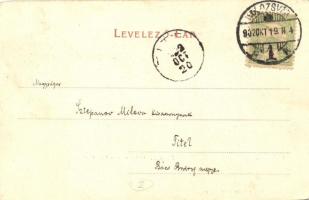 Kolozsvár, Cluj; Mikó utca a Klinikákkal. Stief Jenő és Társa kiadása / street view, clinics, hospit...