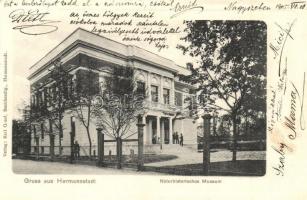 Nagyszeben, Hermannstadt, Sibiu; Naturhistorisches Museum / Természettudományi Múzeum. Karl Graef kiadása / Natural History Museum (EK)