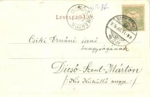 Nagyszeben, Hermannstadt, Sibiu; Naturhistorisches Museum / Természettudományi Múzeum. Karl Graef ki...