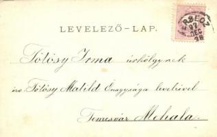 1897 (Vorläufer!) Versec, Vrsac, Werschetz; J. E. Kirchner Floral, litho