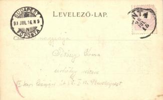 1899 Szabadka, Subotica; Pest szálloda, Városi színház / hotel, theatre