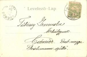 Újverbász, Verbász, Vrbas; evangélikus és református templom. Seidl Nándor kiadása / churches. Art N...