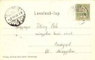 Szamos monitor Pozsonynál, Dunai Flottilla. "Bediene dich allein" kiadása / Donau-Flottill...