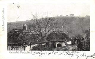 Pankota, Pancota; Bokréta szőlőhegy. Beamter Ödön kiadása / vineyard