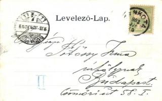 Pankota, Pancota; Bokréta szőlőhegy. Beamter Ödön kiadása / vineyard