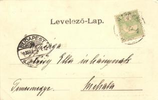 Sátoraljaújhely, indóház, vasútállomás. Alexander V. kiadása. Art Nouveau, floral  (EK)