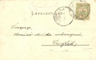 Zilah, Zalau; Református Wesselényi Kollégium / boarding school  (EK)