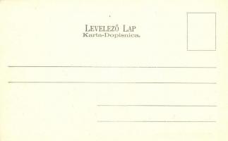 Újvidék, Neusatz, Novi Sad; Duna utca, Törvényszék / street view with court