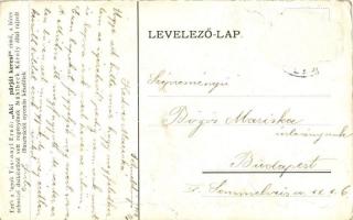 Selmecbánya, Banská Stiavnica; Szamárestély; Tassonyi Ernő "Aki a párját keresi" regényéne...