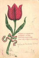 2 db régi tulipános irredenta képeslap / 2 Hungarian pre-1906 irredenta art postcards with tulips