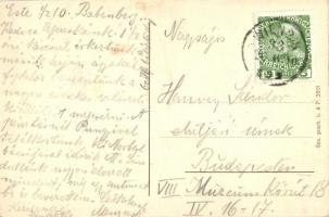 1910 Vienna, Wien; Jagdausstellung / Hunting exhibition, advertisement art postcard