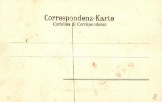 Rovereto, Villa e Fabbrica E. P. Gavazzi / villa and factory (cut)