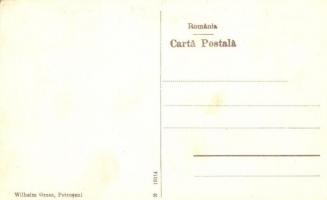 Petrozsény, Petrosani; Régi román-magyar határhíd / old border bridge between Romania and Hungary