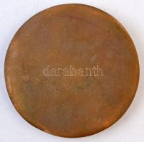 Csillag István (1881-1968) 1957. "Grünvald Fülöp 70. születésnapjára" Br emlékérem (90mm) ...