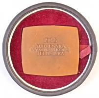 Szlovákia 1938. "Slovenska Vysoka Skloa Technicka (Szlovák Műszaki Egyetem)" Br emlékplake...