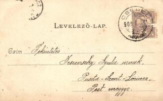 Budapest XX. Pesterzsébet, Erzsébetfalva; Csepel-szigeti kilátás a töltésről