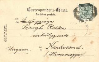 Pola, K.u.K. Kriegsmarine, Schwarmlinie der Landungstruppen. Alois Beer / Osztrák-magyar hadi tenger...