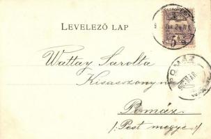 Pest-Pilis-Solt-Kis-Kun vármegye térképe. kiadja Károlyi Gy. / Hungarian map of Pest-Pilis-Solt-Kis-...