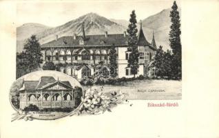 Bikszád-fürdő, Baile Bixad; Anna csarnok, Források pavilonja. Cseplák Bálint kiadása / thermal spring, spa hall, villa. floral Art Nouveau (EK)