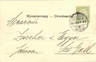 1900 Pozsony, Pressburg, Bratislava; Vár, gőzhajó. Luszt Ármin kiadása, Francois Kühmayer reklám / c...