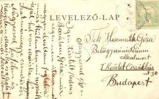 Nagykároly, Carei; Deák Ferenc tér, Kaufman J. és fia, Pengász Erzsi, Kohn Márkusz és Kepets üzlete ...