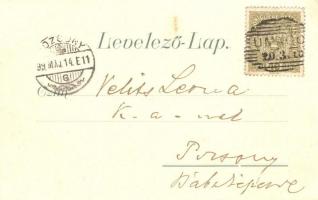 1899 Nezsider, Neusiedl am See; Fő tér. virágos, madaras litho / main square / Hauptplatz. Floral, l...