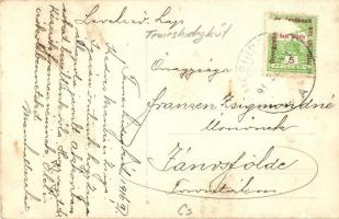 1916 Temeshidegkút, Sabran-Guttenbrunn, Zabrani; Római katolikus templom, üzlet / church, shop. phot...