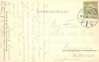 Szebenjuharos, Hohe Rinne, Paltinis; Turistaház, Conrad kilátó. A gyógyház pecsétjével. Jos. Drotlef...