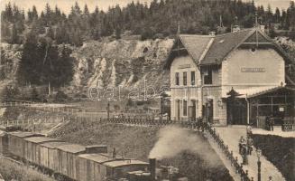 Tusnád-fürdő, Baile Tusnad; Vasútállomás, gőzmozdony. Adler kiadása / Gara / railway station, locomotive (EK)