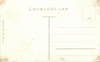 Párkány, Stúrovó; Rákóczi út, háttérben gyárral, Drozdy Aladár üzlete / street view with factory, sh...