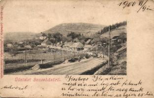 Benesháza, Benus; látkép az útról / panorama view from the road (Rb)