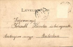 Benesháza, Benus; látkép az útról / panorama view from the road (Rb)