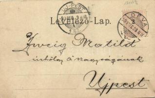 1899 Déva, Fő utca, Hirsch Testvérek üzlete. Weisz Károly kiadása / main street, shops (EK)