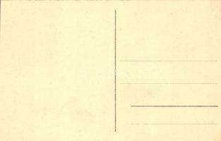 Ipolyság, Sahy; Herz Adolf utódának üzlete, Fő tér a vármegyeházzal / shop, county hall, main square