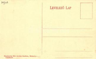 Csízfürdő, Kúpele Ciz; Hamvay udvar / villa park