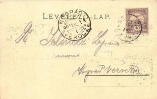 Tátra, Csorba-tó / Csorba am See. M. Kuschel. Floral, litho