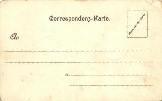 New York, Brooklyn Bridge. litho  (EK)