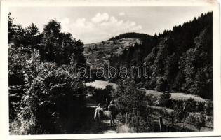 Sopron Tacsi árok, Foto Diebold (EK)