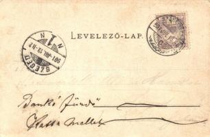 Szászrégen, Reghin; Evangélikus templom, leány iskola és gimnázium, sétány. G. Heiter / church, scho...