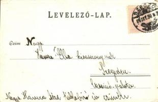 1899 Szeged, Városi Színház. Schulhof Károly kiadása. Szecessziós ezüst fémes képeslap / Art Nouveau...