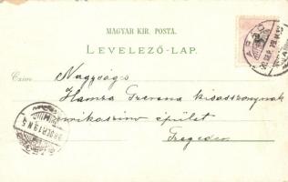 1898 Arad, Andrássy tér, Maros part, Városház, Lyceum, színház / square, river bank, town hall, scho...