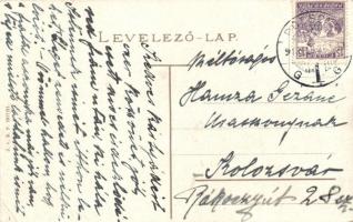 Pozsony, Pressburg, Bratislava; városi motorvasút fűrészteleppel, vár / urban railway, train, saw mi...