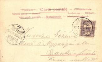 Torna, Abaúj-Torna, Turna nad Bodvou, Turnau; vár, megyeház, városháza. Kapható Steinberger Ig. kere...