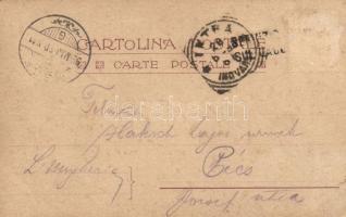 1899 Isola Bella. Cartolina ufficiale dell'Impresa di Navig. sel Lago Maggiore. Art Nouveau, fl...