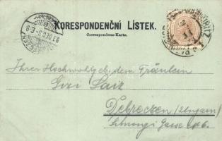 1899 Pardubice, Namesti, Zamek, Dekansky chram, Pomnik bratrancu Veverku, Kralovske tridy / square, ...